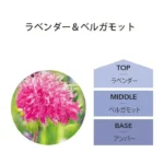 ラベンダー&ベルガモットの香り構成を示した画像。トップはラベンダー、ミドルはベルガモット、ベースはアンバー。